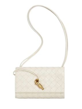 Bottega Veneta Andiamo Pouch